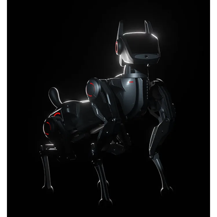 Hengbot Sirius robot dog