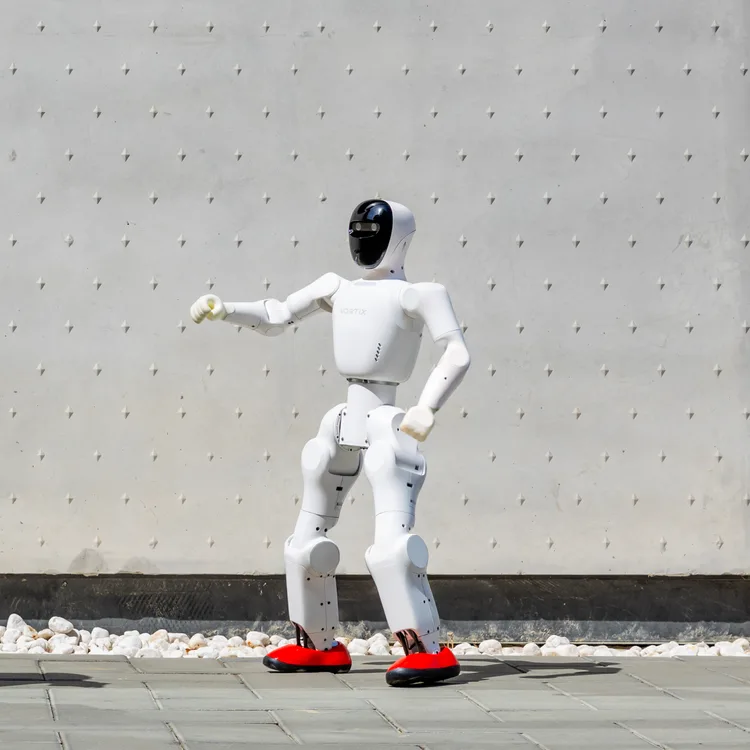 Noetix Bumi humanoid robot