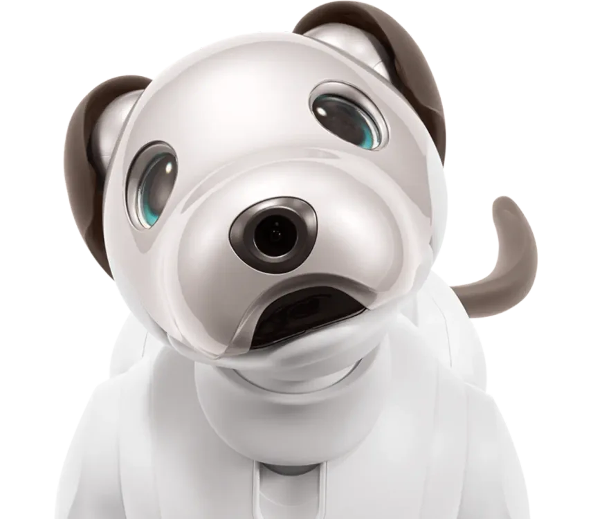 Sony aibo ERS-1000 cane robot